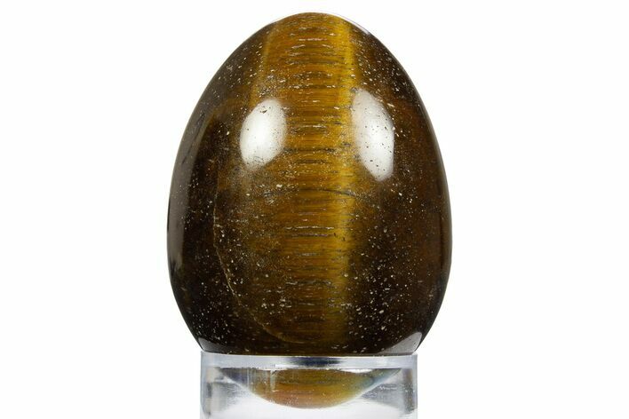 Polished Tiger's Eye Egg - South Africa #312701